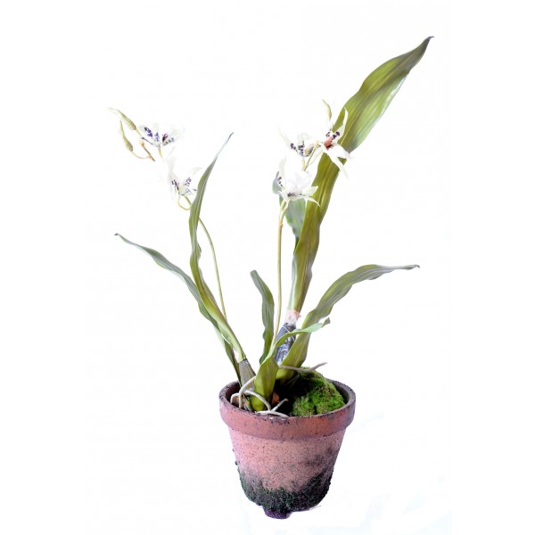 Cambria Orchidee Pot Terre – Composition artificielle