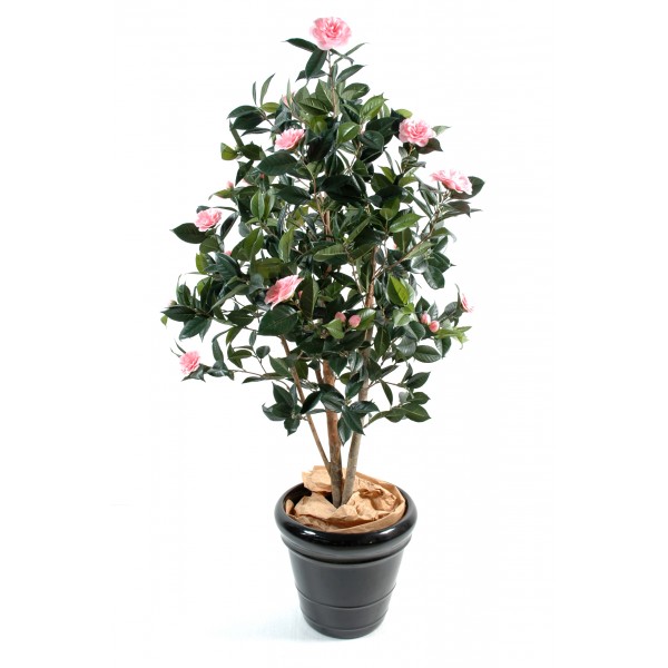 Camelia Japonica – Arbre artificiel