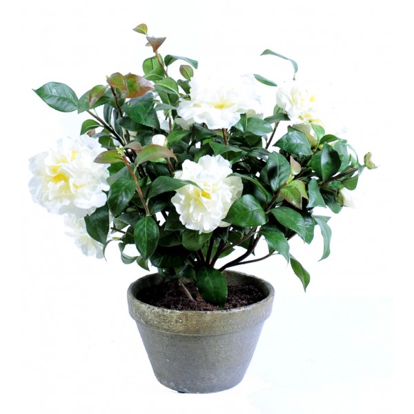 Camelia Pot Terre – Composition artificielle