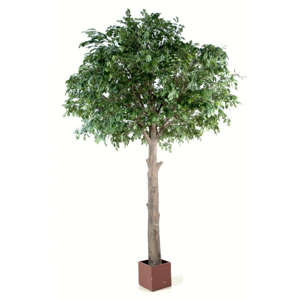 Chene Tete Platine – Arbre artificiel