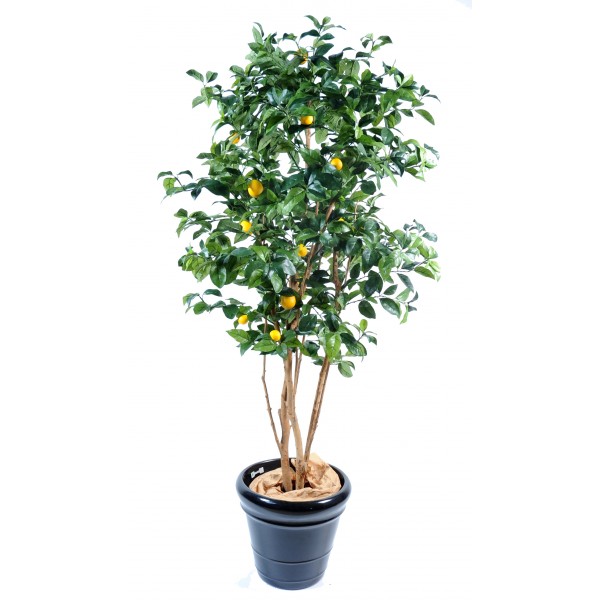 Citronnier New – Arbre artificiel