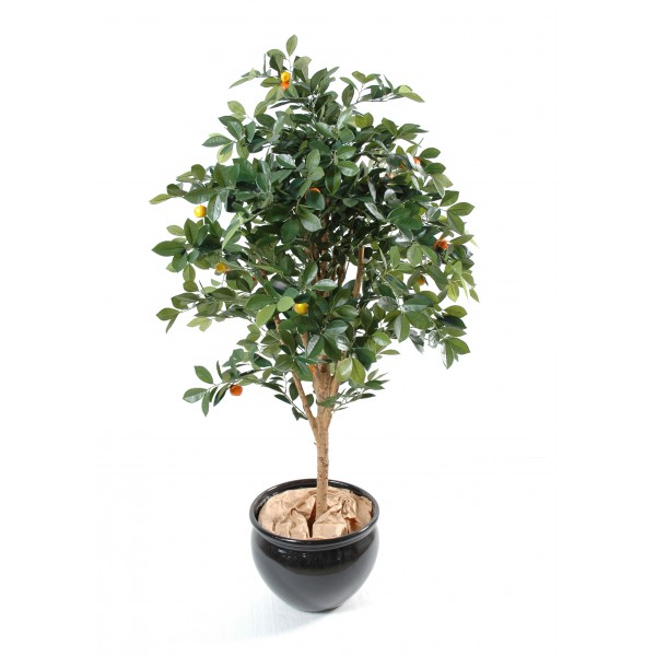 Citrus – Arbre artificiel