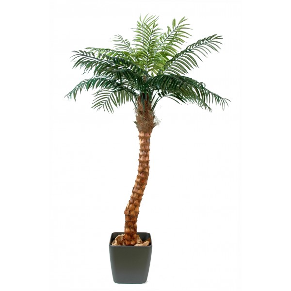 Coconut Tree Bended – Arbre artificiel