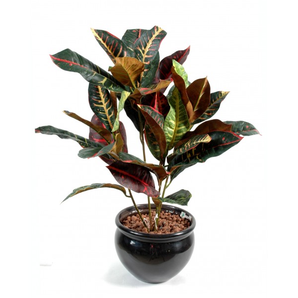 Croton Nt*32 – Plante artificielle
