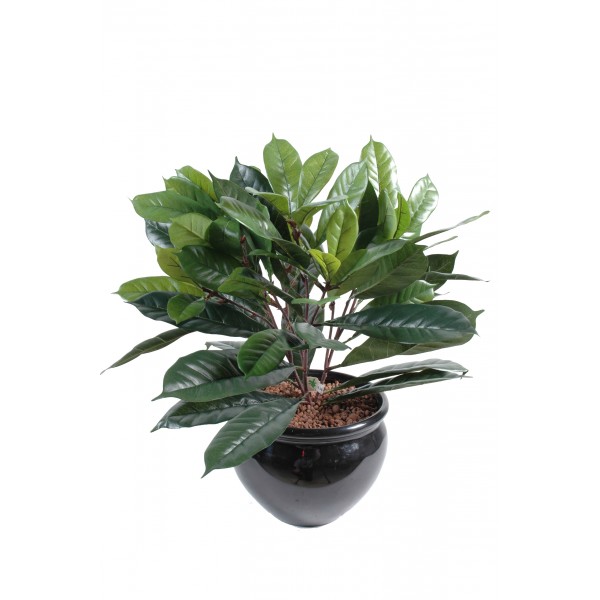 Cyathistipula Pot – Plante artificielle