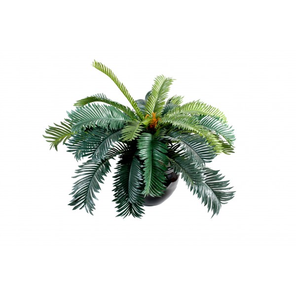 Cycas 20F – Plante artificielle