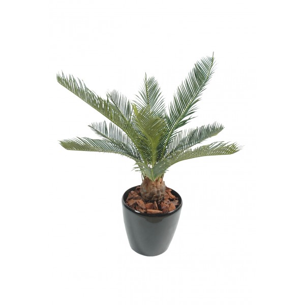 Cycas Baby – Arbre artificiel