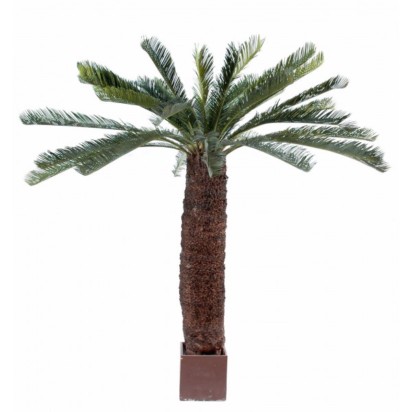 Cycas Geant *15 – Arbre artificiel