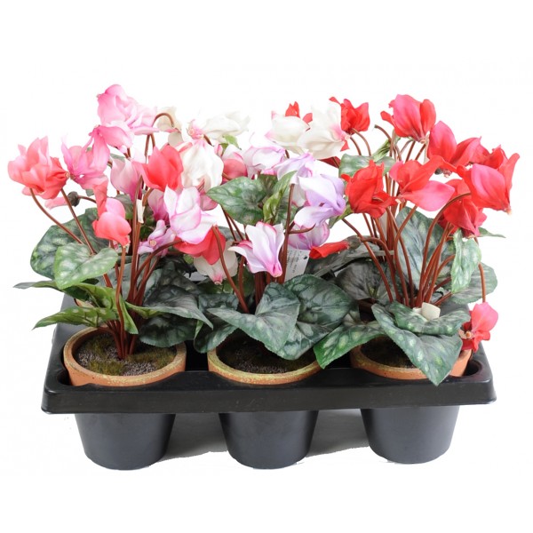 Cyclamen Pot En Barquette De 6 – Composition artificielle