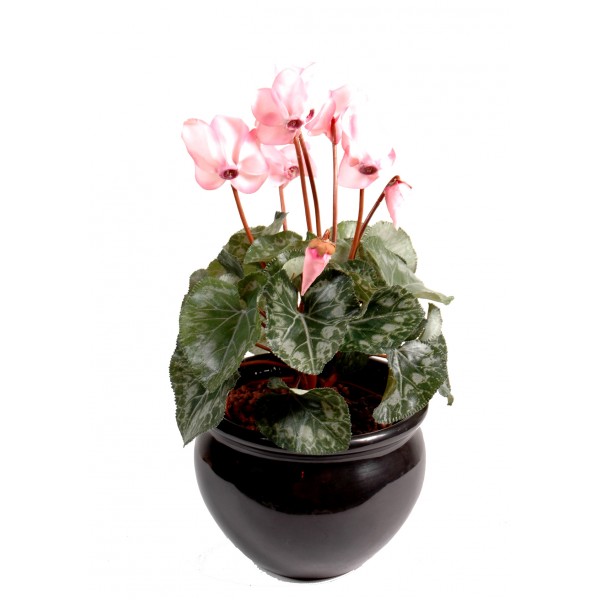 Cyclamen*8 – Plante artificielle