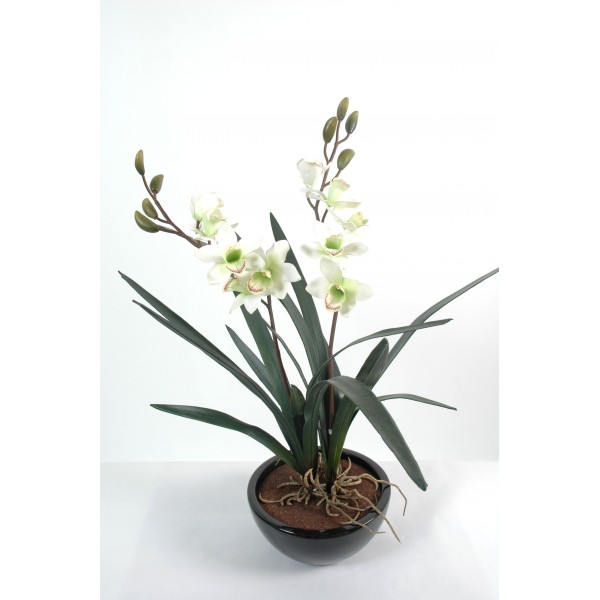 Cymbidium 10Fls 8Bts Pot D22 – Plante artificielle