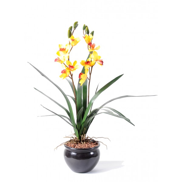 Cymbidium 10Fls 8Bts – Plante artificielle