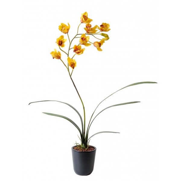 Cymbidium – Plante artificielle