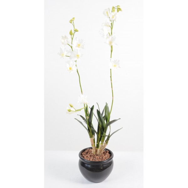 Dendrobium Ochid – Plante artificielle
