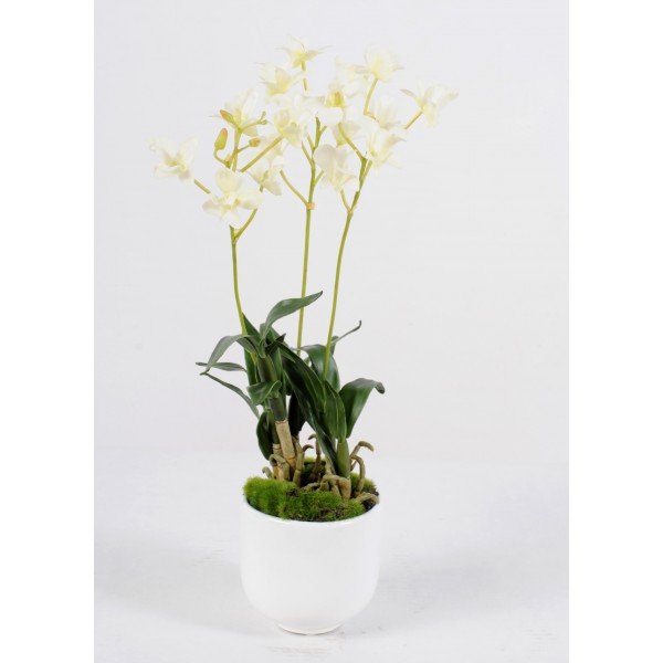 Dendrobium Pot – Composition artificielle