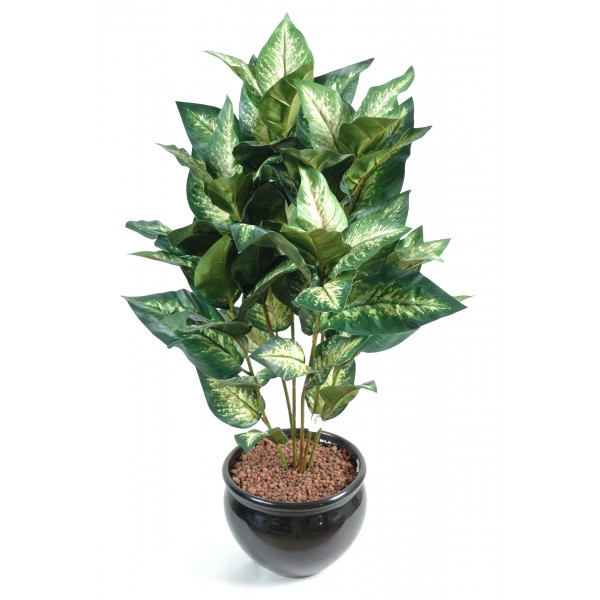 Dieffenbachia Nt*32 – Plante artificielle