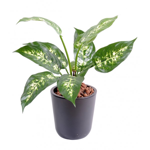 Dieffenbachia*11 35Cm En Pot – Végétal artificiel