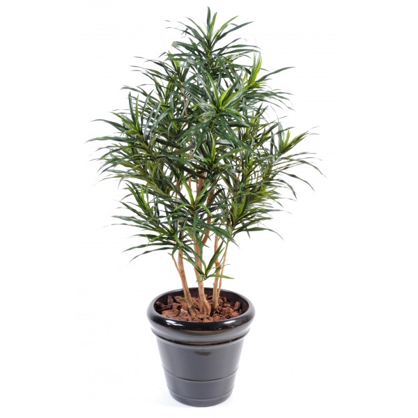 Dracaena Anita – Arbre artificiel