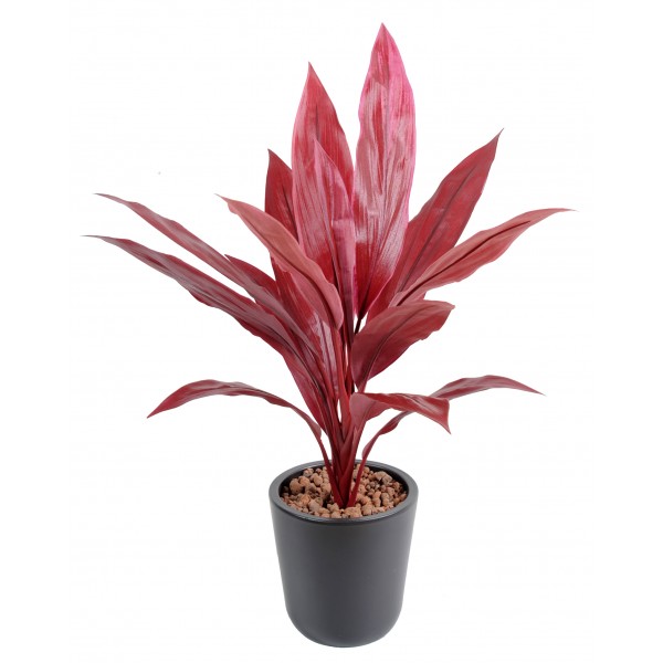 Dracaena Cordyline 60Cm – Végétal artificiel