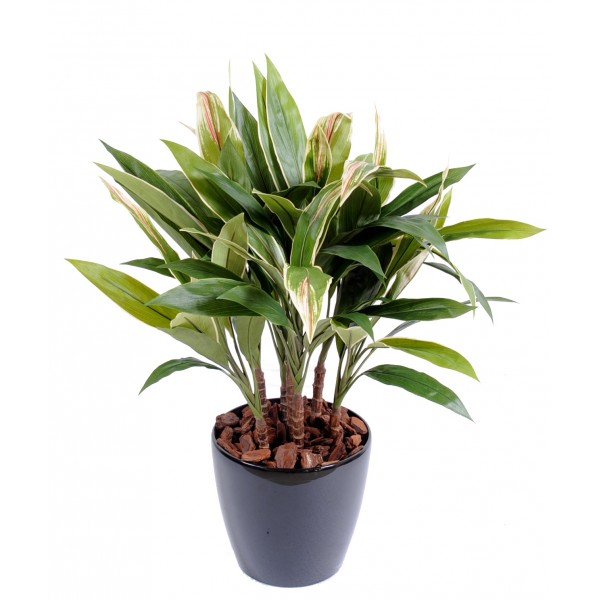 Dracaena Cordyline Touffe – Végétal artificiel