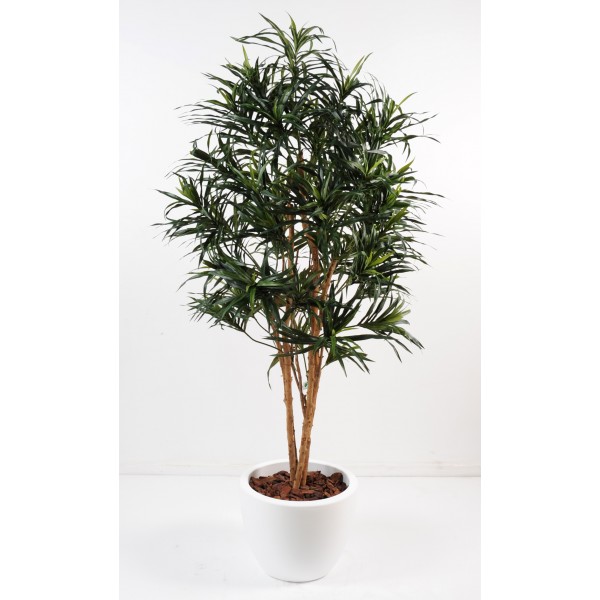 Dracena Anita En Pot Pure Rond – Composition artificielle