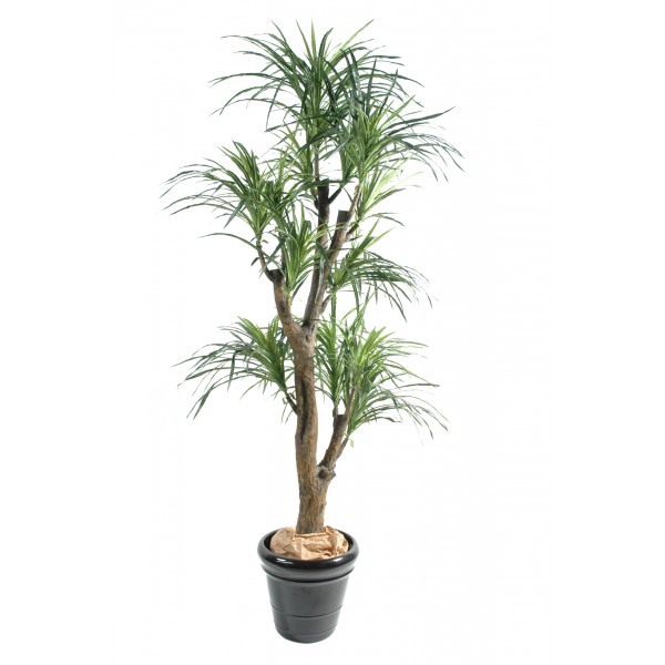 Dracena Large – Arbre artificiel