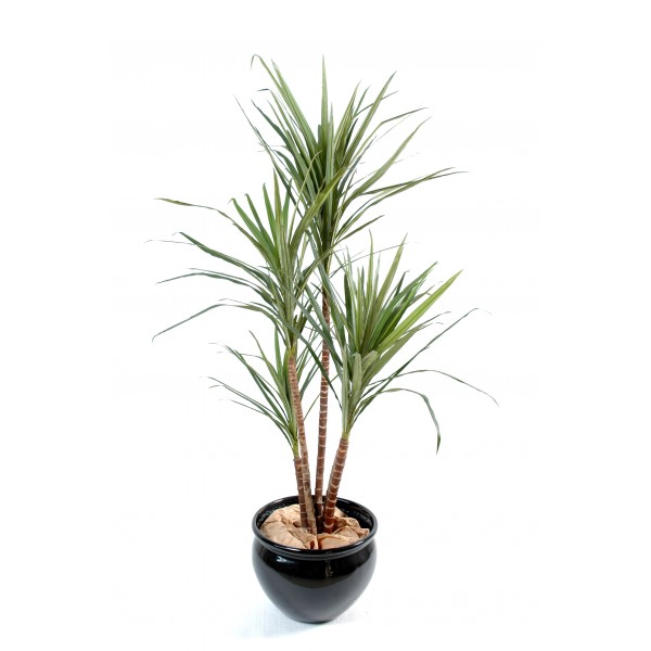 Dracena Marginata – Arbre artificiel