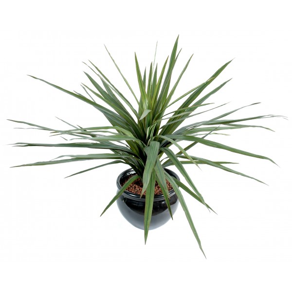 Dracena Marginata 58F – Plante artificielle