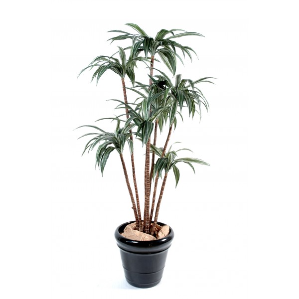 Dracena Tree – Arbre artificiel