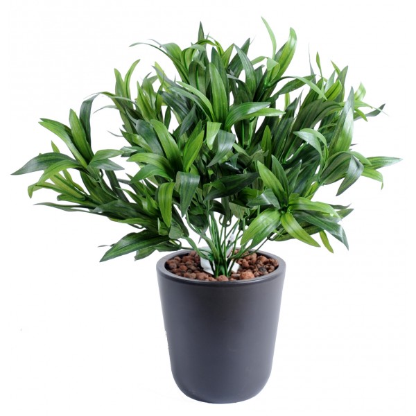 Dracena Vine – Plante artificielle