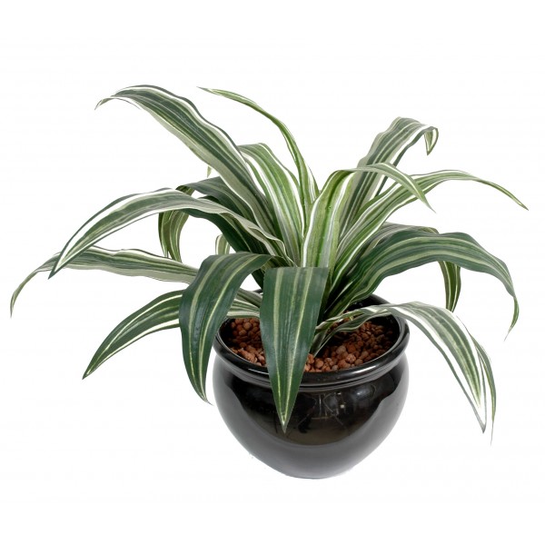 Dracena Warneki 20F – Plante artificielle