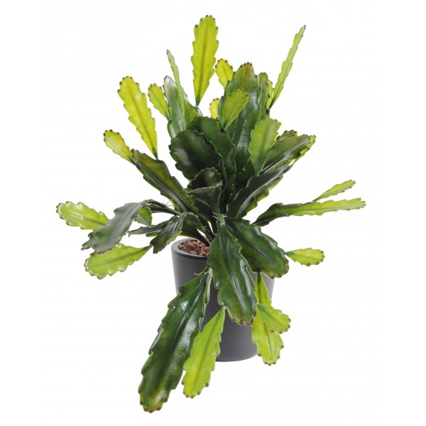 Epiphyllum Large  Plast – Végétal artificiel