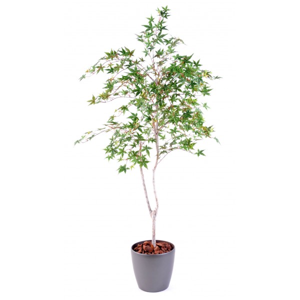 Erable Japonaistree – Arbre artificiel