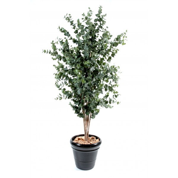 Eucalyptus Buisson – Arbre artificiel