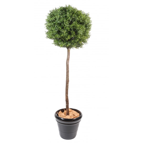 Eucalyptus Plast Tige – Arbre artificiel