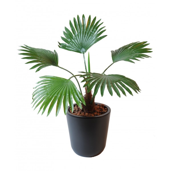 Fan Palm Mini – Plante artificielle