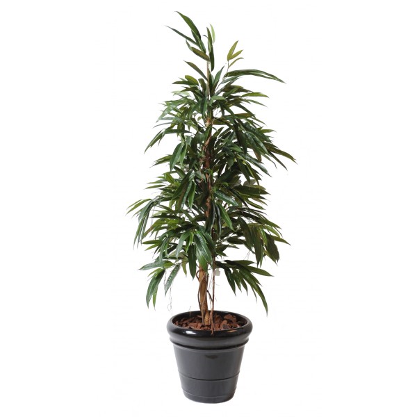 Ficus Alii Bush Royal – Arbre artificiel