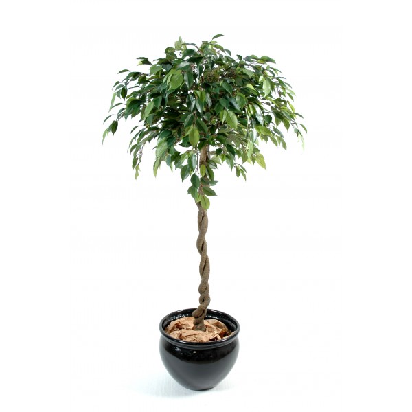 Ficus Boule Natasja – Arbre artificiel
