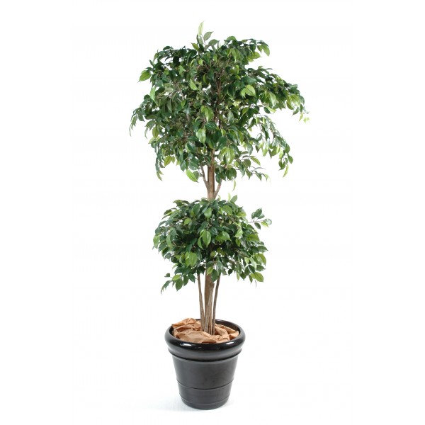 Ficus Double Boule – Arbre artificiel