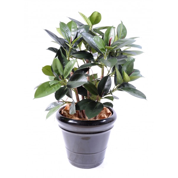 Ficus Elastica Buisson – Arbre artificiel