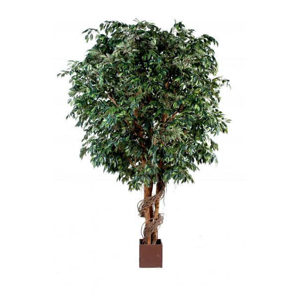 Ficus Geant – Arbre artificiel