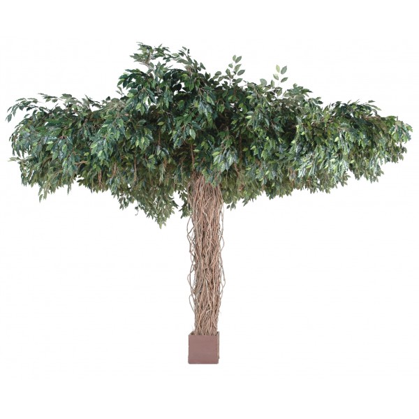 Ficus Lianes Umbrella – Arbre artificiel