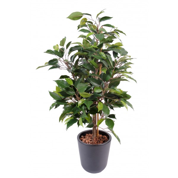 Ficus Natasja En Pot De 10 – Arbre artificiel