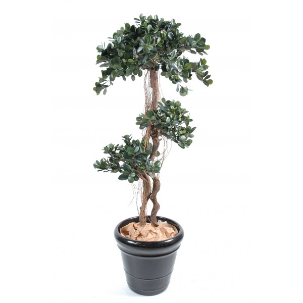 Ficus Panda – Arbre artificiel