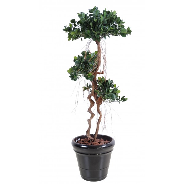 Ficus Panda New – Arbre artificiel