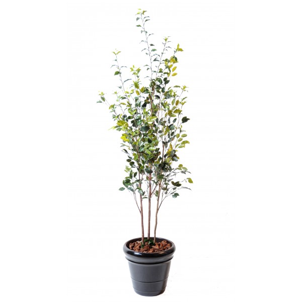 Ficus Plast – Arbre artificiel