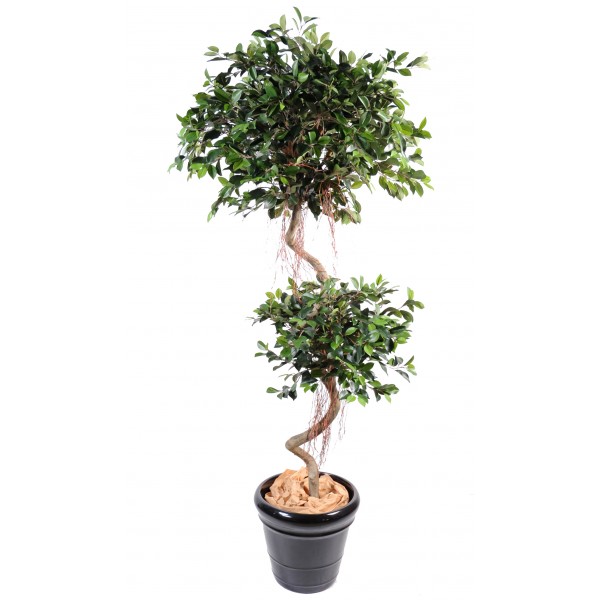 Ficus Spirale 2 Boules – Arbre artificiel