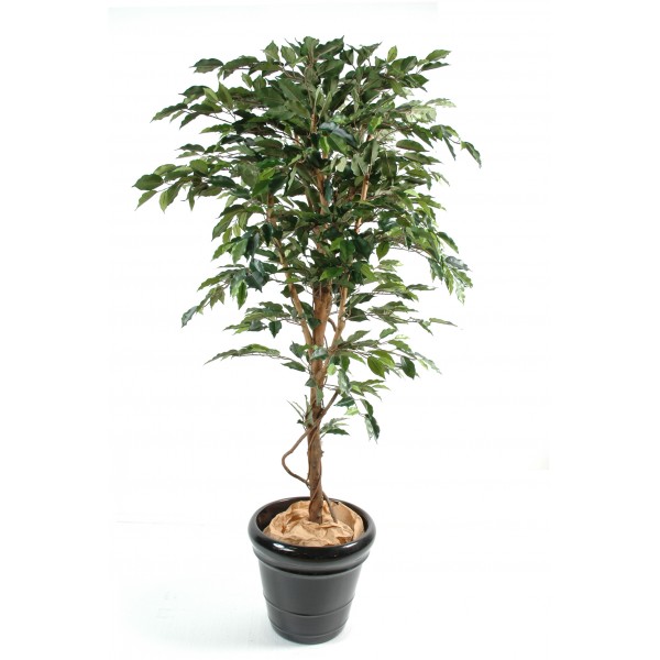 Ficus Tronc Simple Gf – Arbre artificiel