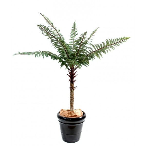 Fougere Dicksonia Tronc – Arbre artificiel