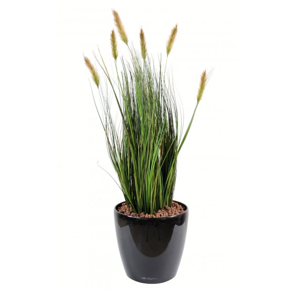 Foxtail – Plante artificielle